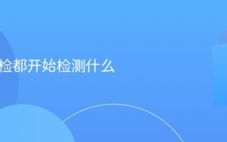 洗车年检都开始检测什么