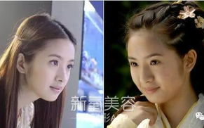 揭秘陈红个人资料：才华与魅力的完美结合