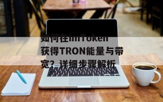 如何在imToken获得TRON能量与带宽？详细步骤解析