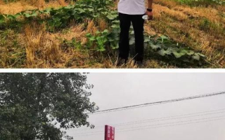 复仇者联盟游戏,深度体验超级英雄的魅力-游戏攻略与评测