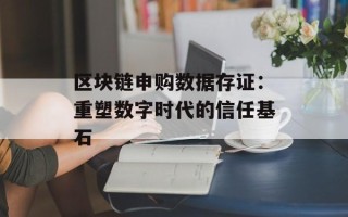 区块链申购数据存证：重塑数字时代的信任基石