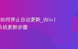 Win11如何停止自动更新_Win11禁用系统更新步骤