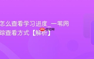 一苇网怎么查看学习进度_一苇网进度追踪查看方式【解析】