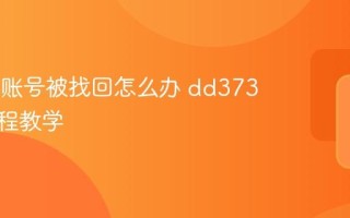 dd373账号被找回怎么办 dd373申诉流程教学