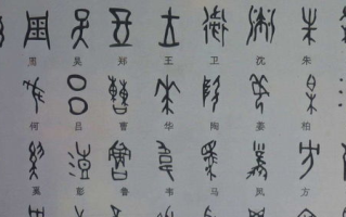 绿肥红瘦,古典诗词意境与现代生活应用解析