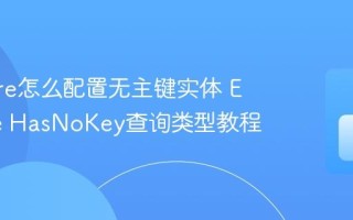EF Core怎么配置无主键实体 EF Core HasNoKey查询类型教程