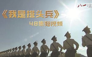 八一影视，高品质影视内容聚合平台-SEO优化策略解析