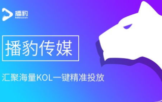 无忧传媒,短视频领域的引领者-成就解析