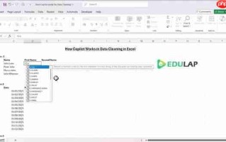 Excel Copilot数据清洗终极指南：轻松提升效率
