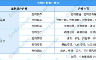 宠物市场需求与选择策略-宠物养护与心理健康