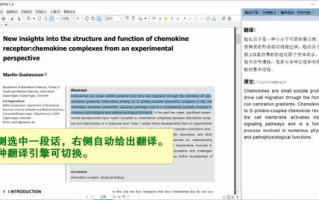 中英文在线翻译工具的重要性与选择指南