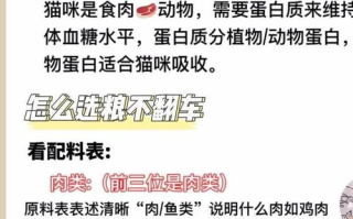 宠物营养指南，科学喂养-让宠物健康成长的秘诀