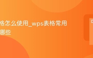 wps表格怎么使用_wps表格常用功能有哪些