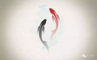 《孽欲追击之邪杀》心理追踪与犯罪剖析-悬疑小说深度解读