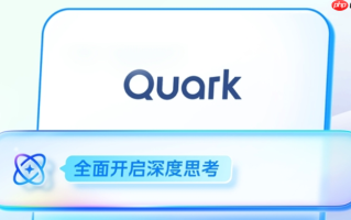 夸克(Quark)网页版怎么查看浏览历史_夸克(Quark)网页版历史记录查询与清除【指南】
