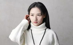 《大宋提刑官2》演员表揭秘：实力派阵容再续经典