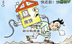 房奴试爱，爱情与现实的碰撞-《房奴试爱》第一季深度解析