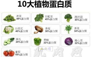 术后病人营养恢复指南，加速康复进程