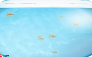 最新Fishbowl测试网址 Fishbowl鱼缸在线官网