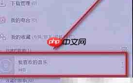 网易云音乐批量下载教程