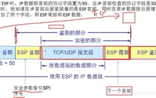 imToken导入私钥完整指南：安全备份与多链支持详解