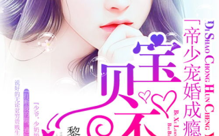 帝少宠婚成瘾: 解析都市情感剧的甜蜜陷阱与成功要素