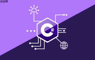 C# 如何配置和读取appsettings.json - .NET Core配置系统详解