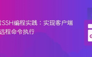 Go语言SSH编程实践：实现客户端认证与远程命令执行