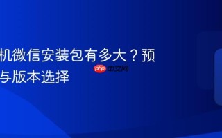 苹果手机微信安装包有多大？预留空间与版本选择