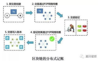 区块链节点：构建去中心化世界的关键基石
