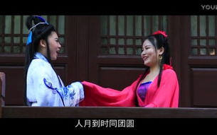 鸳鸯谱在线观看高清全解析-如何选择最佳平台与设备
