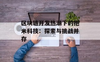 区块链开发热潮下的抱米科技：探索与挑战并存