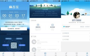 阿里区块链麻吉宝：揭秘未来数字身份认证新趋势