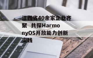 江西省40余家企业齐聚  共探HarmonyOS开放能力创新实践 