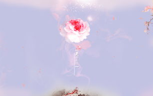 芙蓉帐暖李寂v5,古典文学中的浪漫意象-内涵与赏析