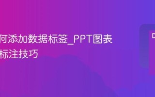 PPT如何添加数据标签_PPT图表数据点标注技巧