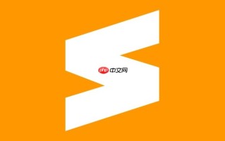 Sublime实现零拷贝(Zero-copy)数据传输_在Java(Netty)/Rust中优化IO性能