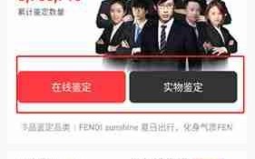 《优奢易拍》鉴定方法介绍