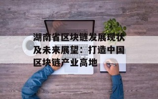 湖南省区块链发展现状及未来展望：打造中国区块链产业高地