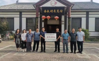 公厕被打女子事件,公共场所安全-女性自我保护措施解析