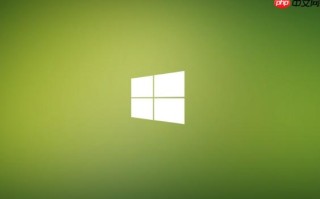 Windows 11怎么设置特定应用通过特定网卡上网_Windows 11高级网络设置应用路由