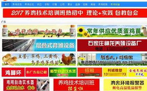 免费算命网站，精准预测人生走向-揭秘最准的免费算命资源