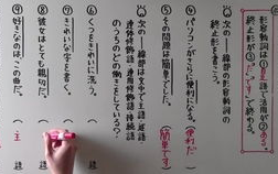 深入解析《海贼王国语版》的语言魅力与文化内涵-动漫爱好者必读