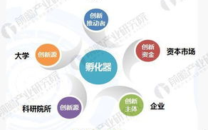 科技企业孵化器,助力初创企业发展-全方位服务解析