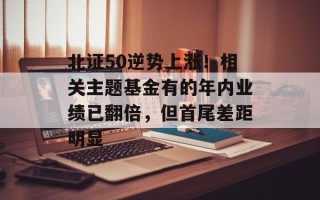 北证50逆势上涨！相关主题基金有的年内业绩已翻倍，但首尾差距明显