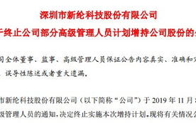 新纶科技,引领新材料研发与应用-企业实力与市场展望解析
