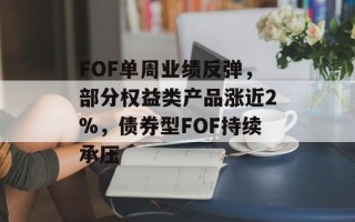 FOF单周业绩反弹，部分权益类产品涨近2%，债券型FOF持续承压
