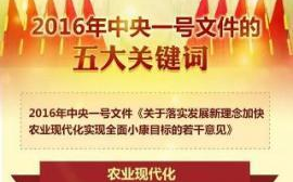 中央新闻联播,中国权威新闻发布-节目内容与影响力分析