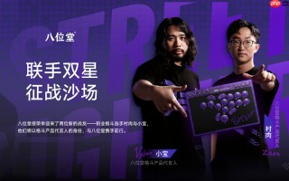 冠军之选，八位堂天刃星街机控制器紫透双签版重磅上市