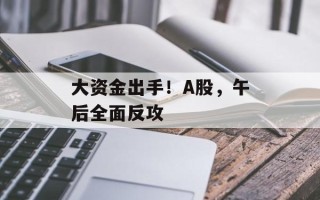 大资金出手！A股，午后全面反攻